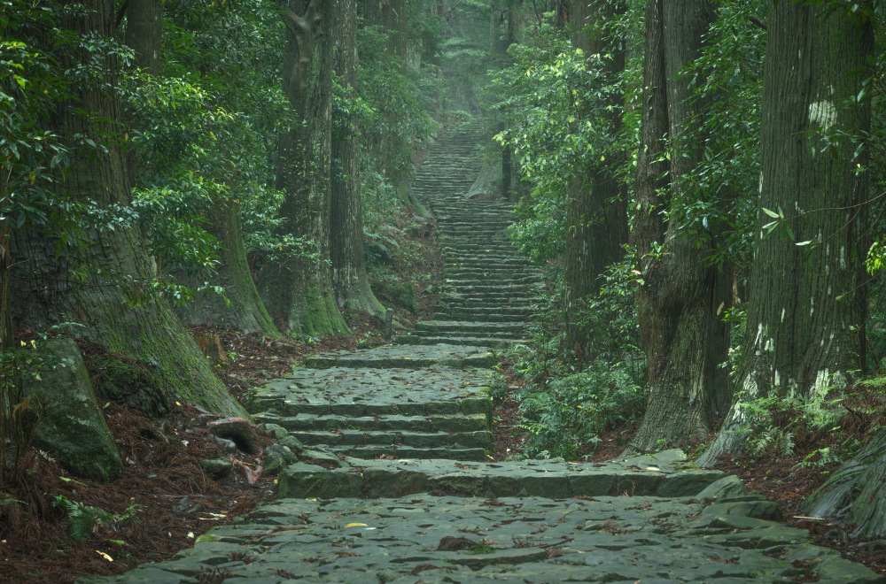 世界遺産の地「熊野」で命を見つめる